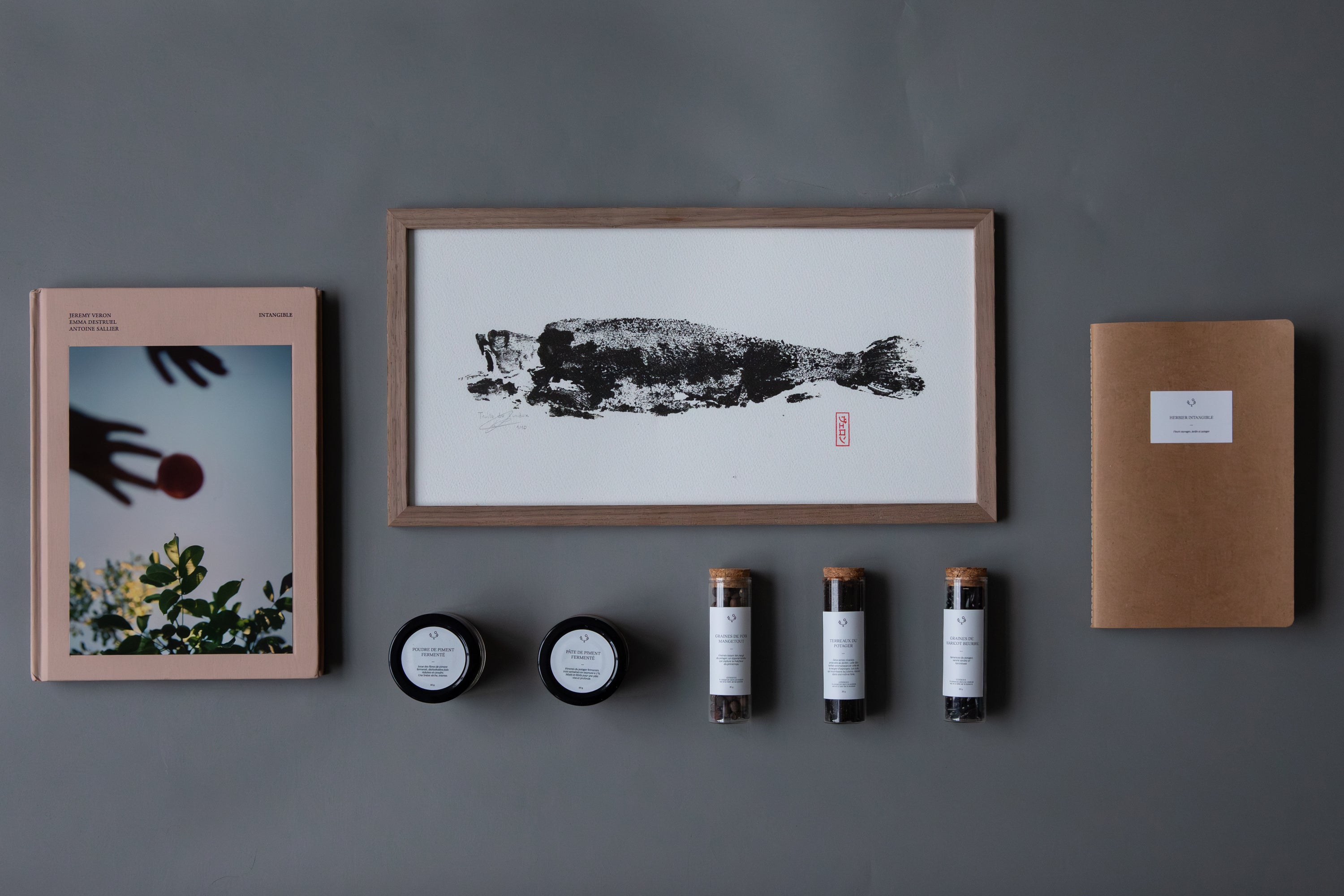 Intangible - édition collector