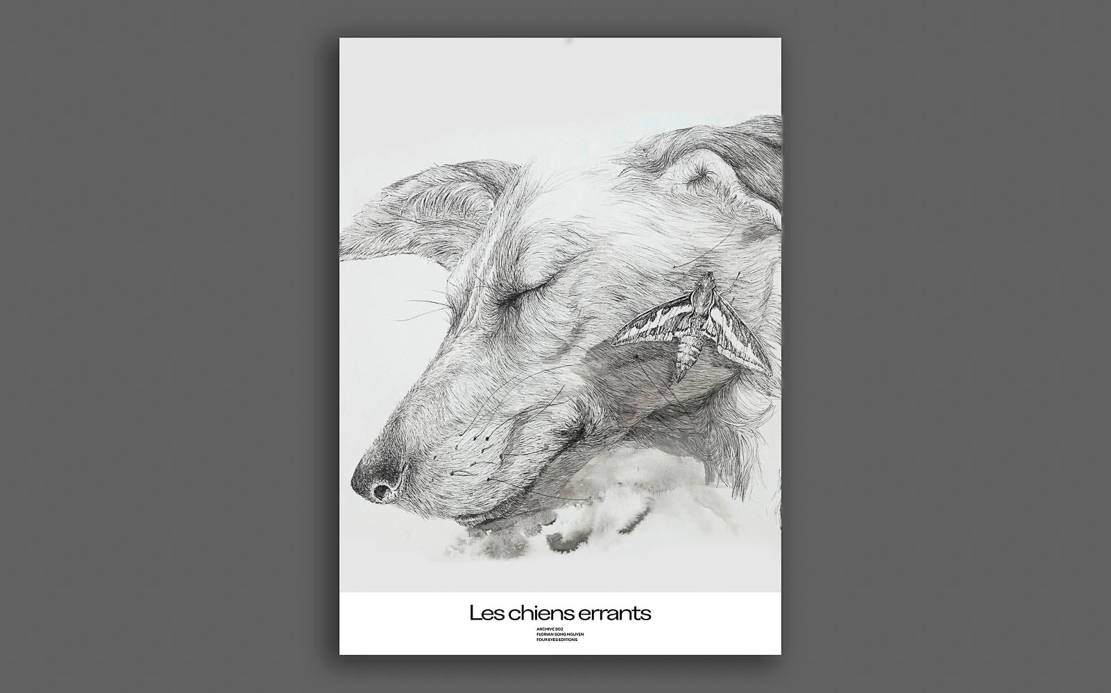 Les chiens errants