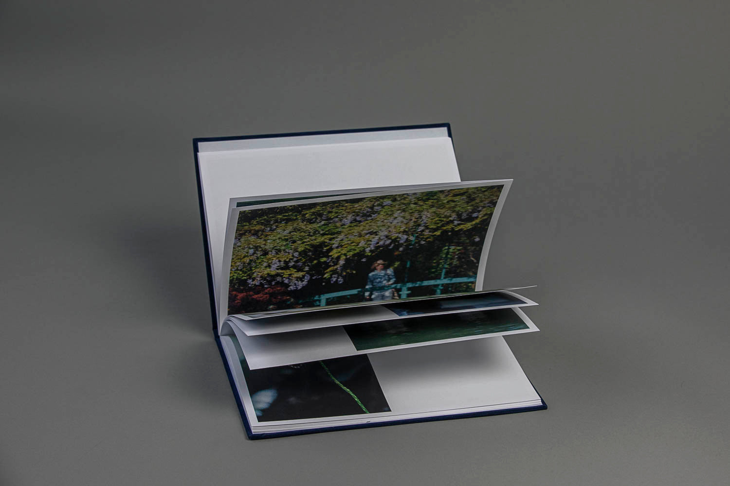 Impressionism — édition spéciale