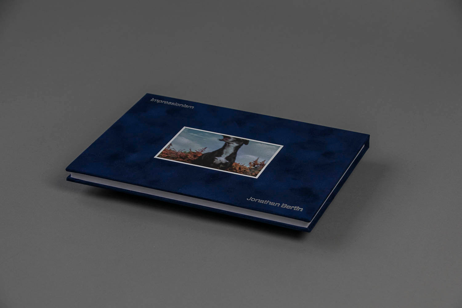 Impressionism — édition spéciale