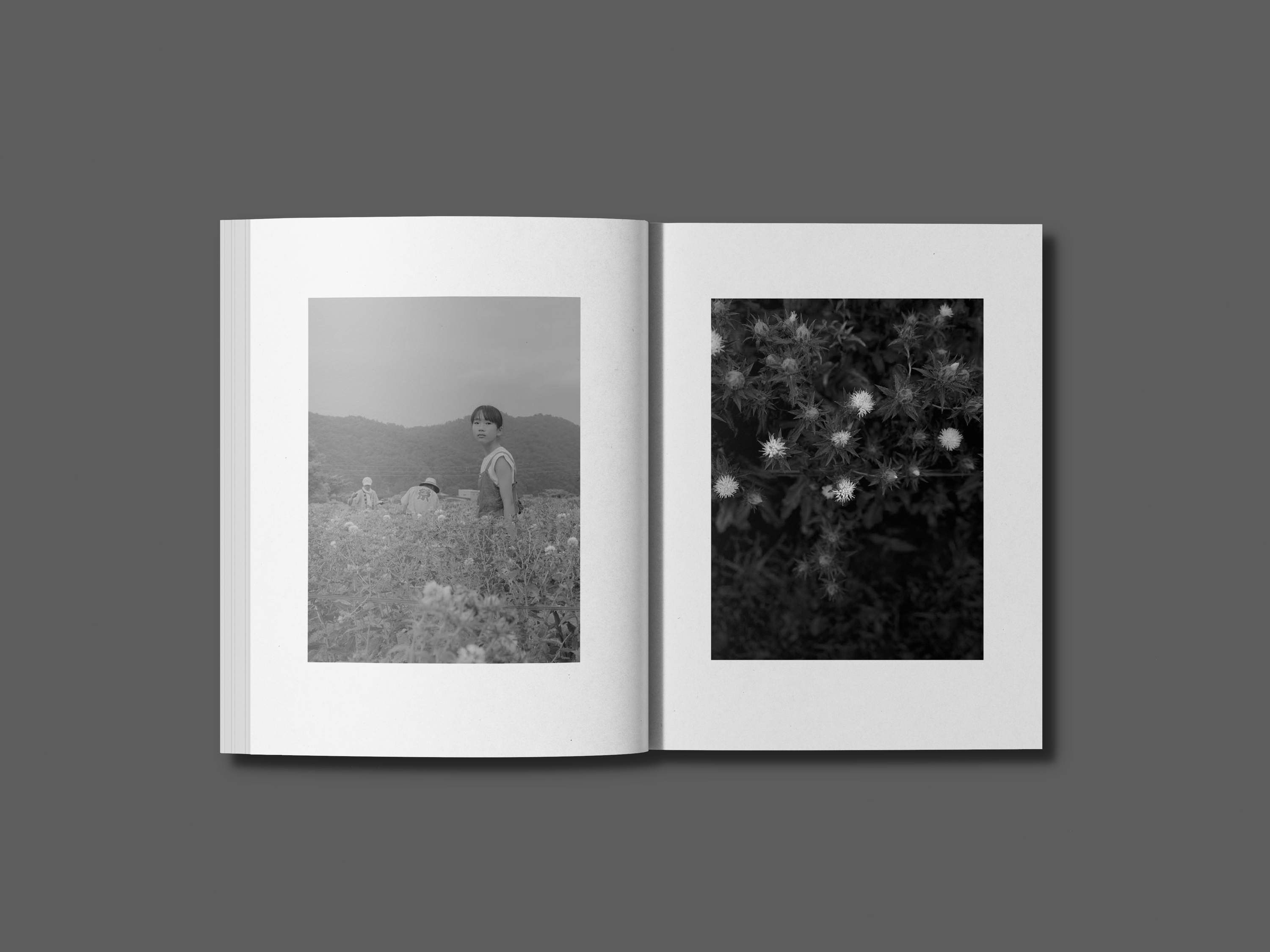 Flower(s) — Vol. 1
