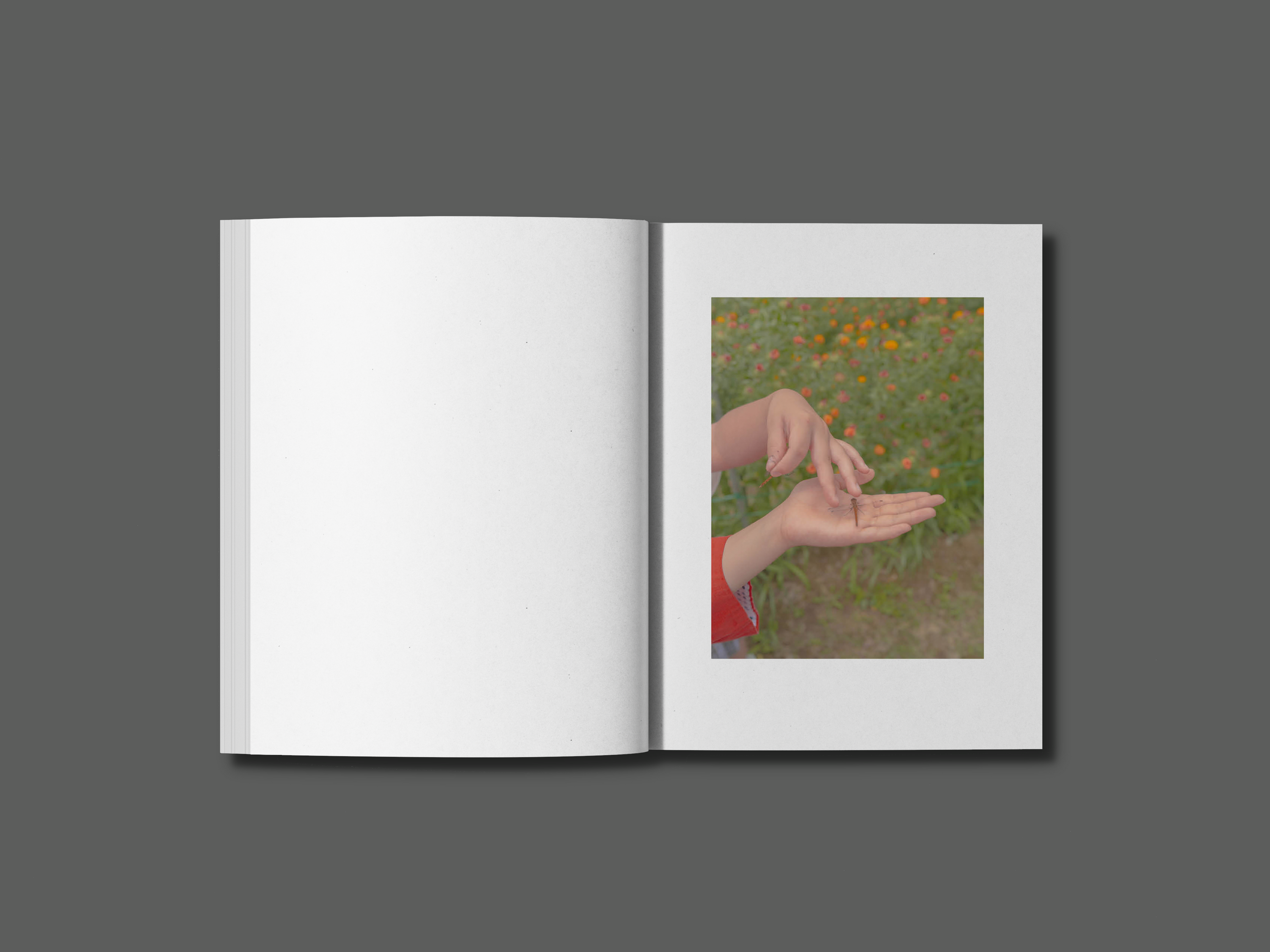 Flower(s) — Vol. 1