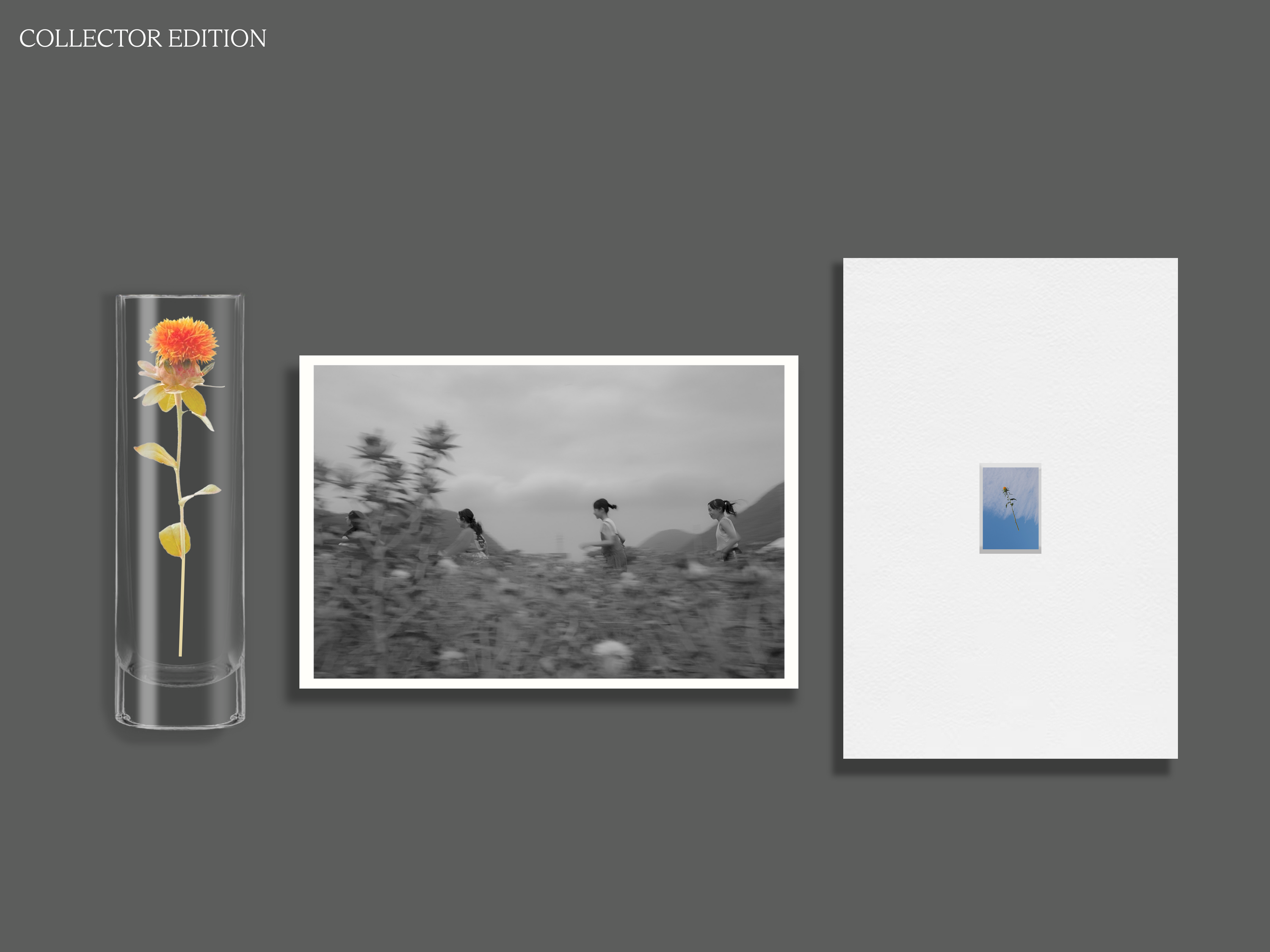Flower(s) — Vol. 1