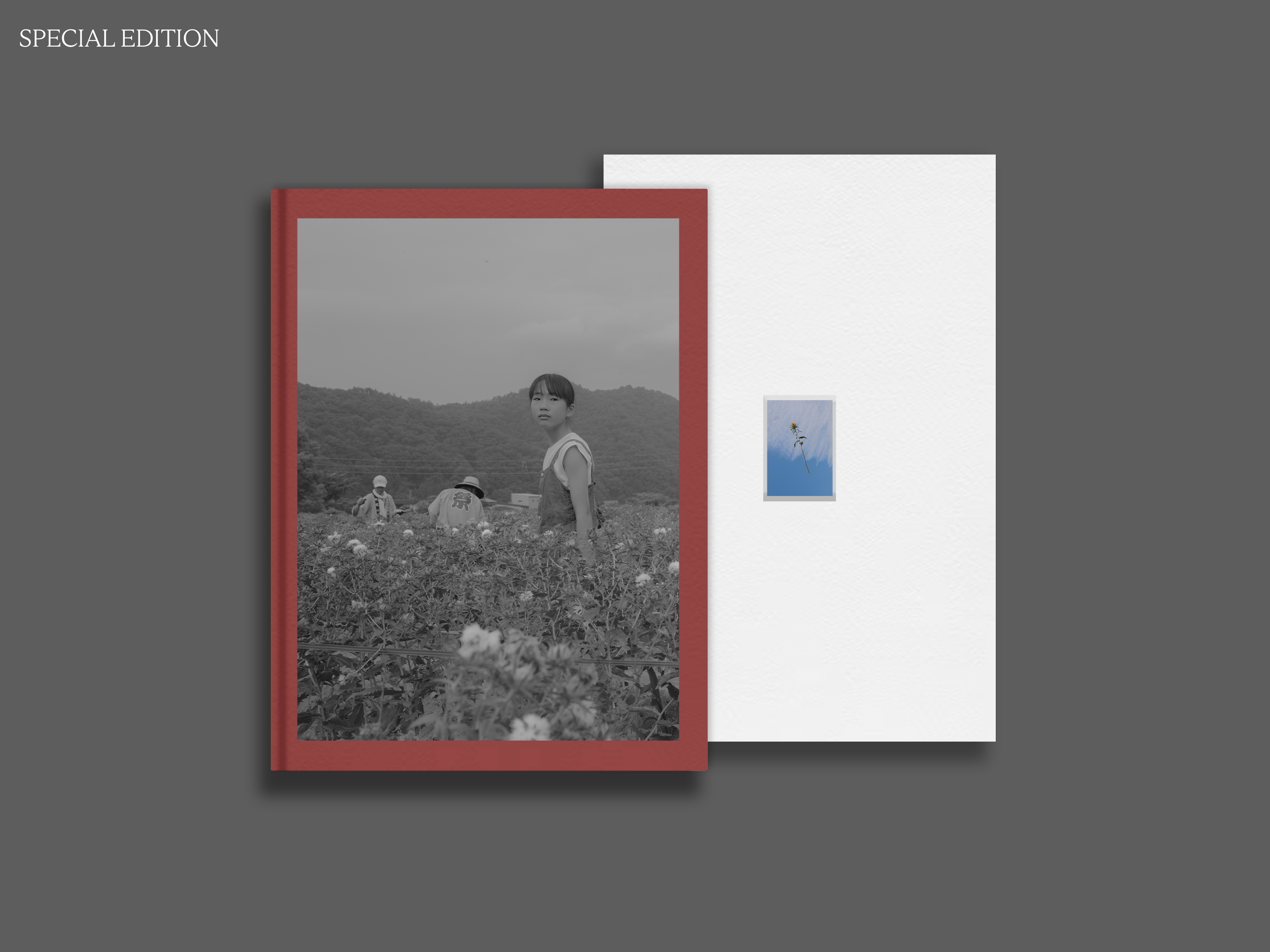 Flower(s) — Vol. 1