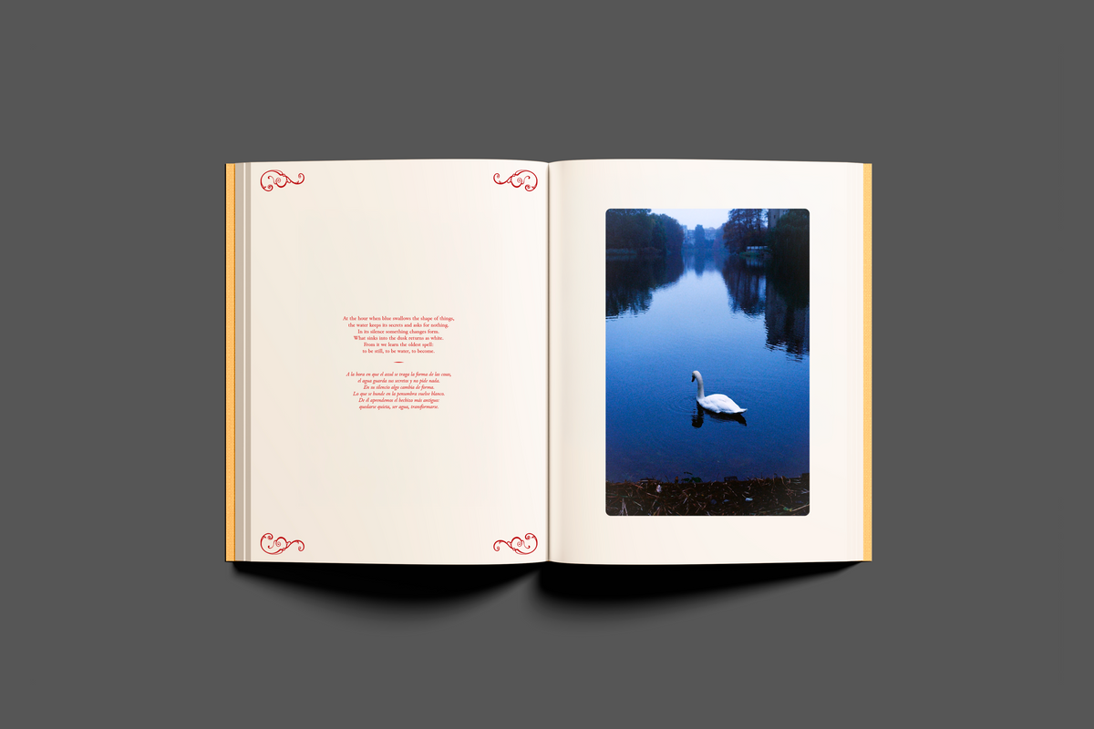 Our Midnight Rituals — Cecilia Diaz