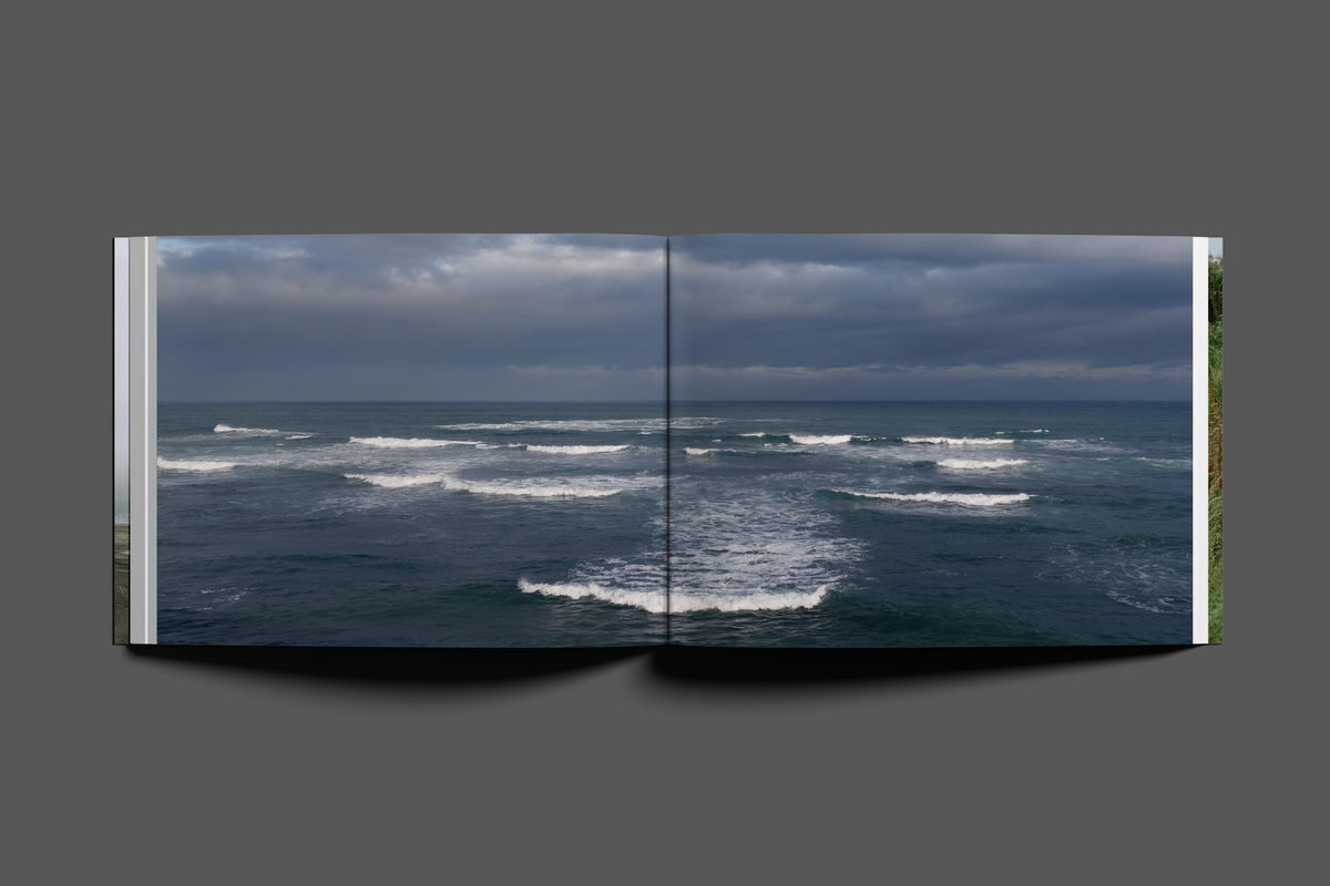 Coastal Motifs