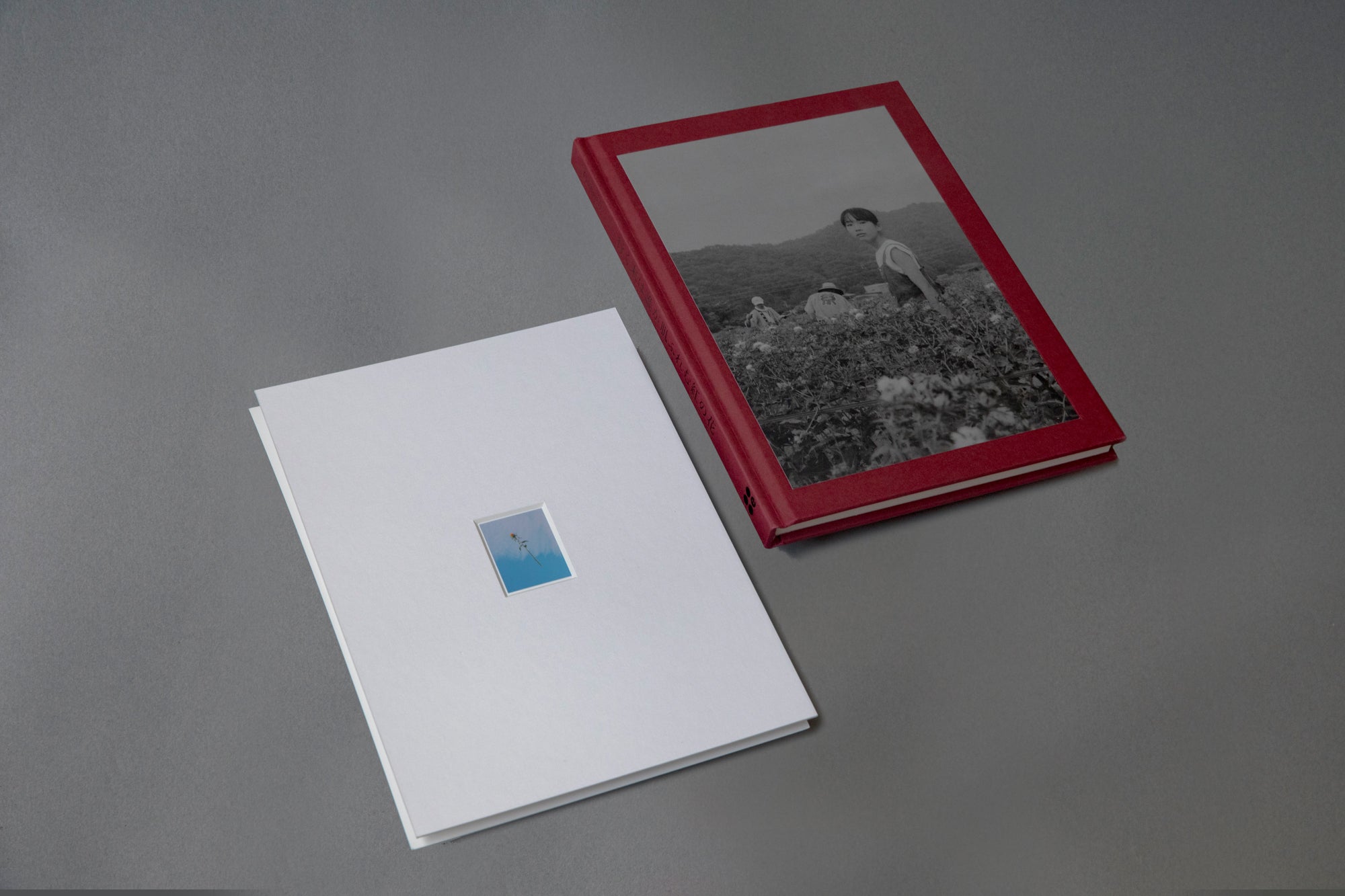 Flower(s) — Vol. 1 - Special Edition