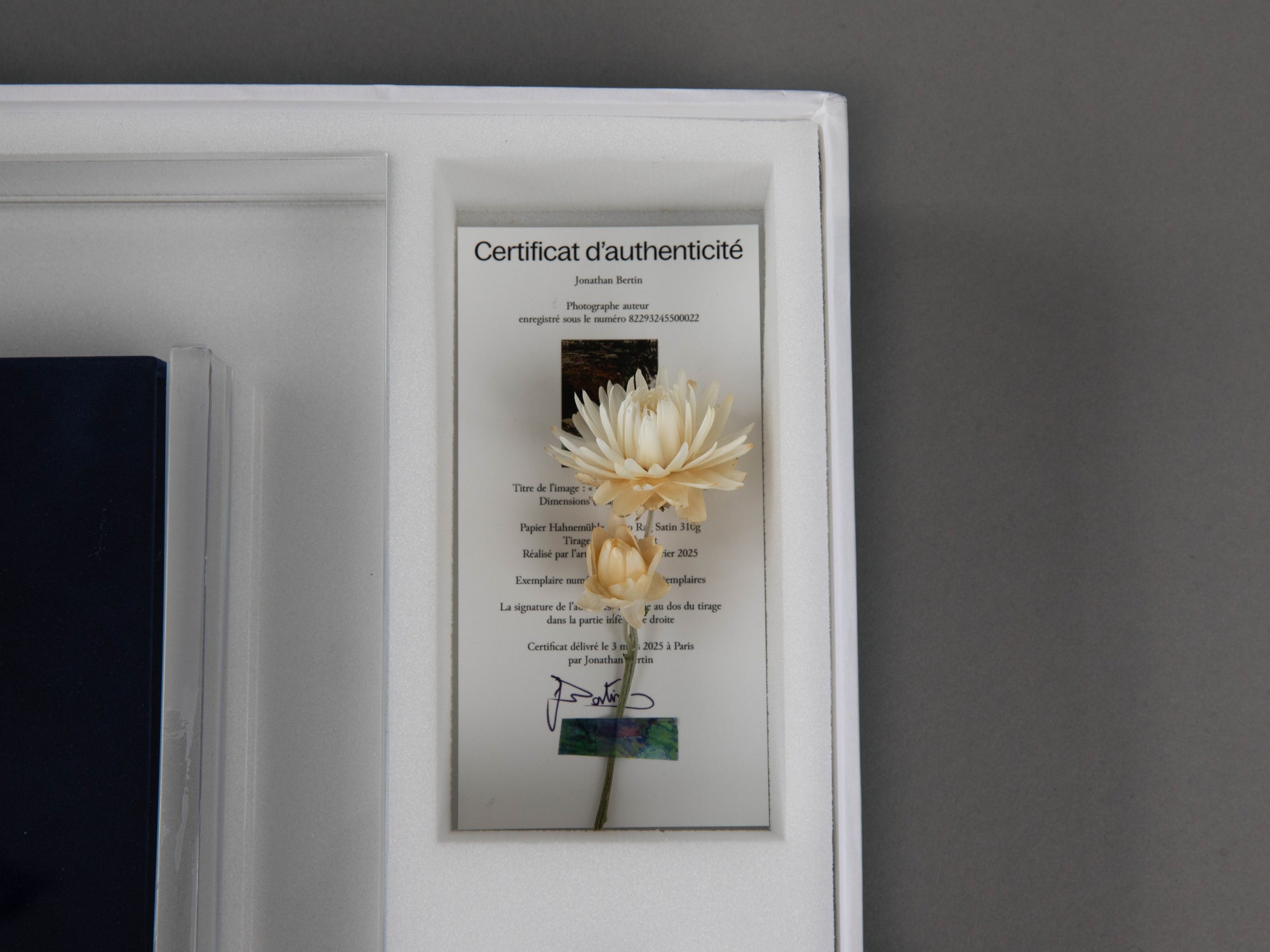 Impressionism - édition collector